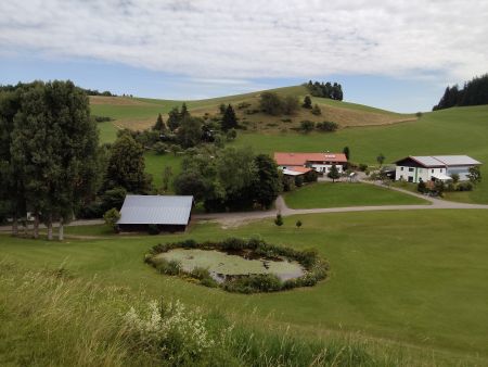 Scheiben_450 breit